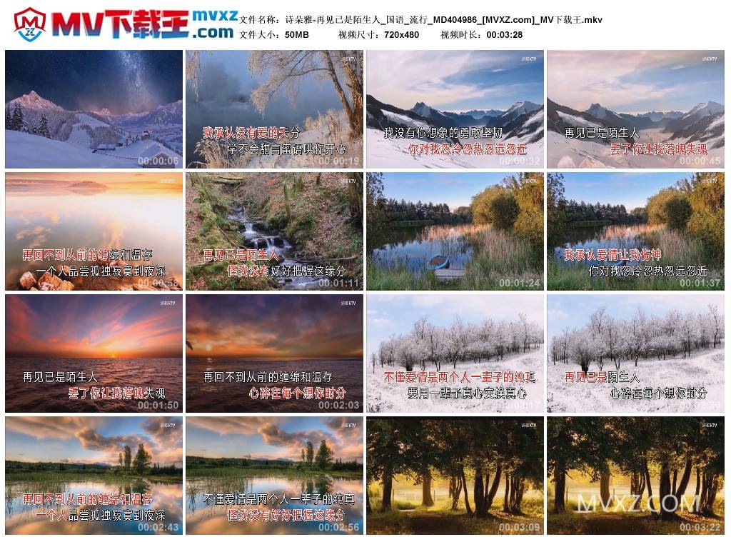 诗朵雅-再见已是陌生人_国语_流行_MD404986